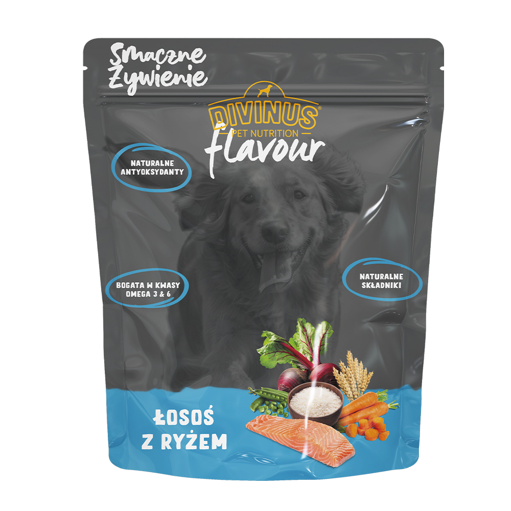 Próbka Divinus FLAVOUR łosoś z ryżem 100 g